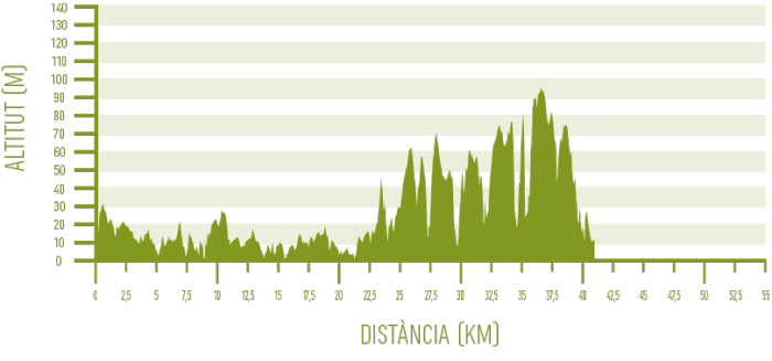 Ciutadella – Sant Tomàs