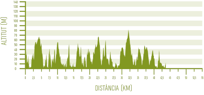 Maó – Ses Salines de Fornells