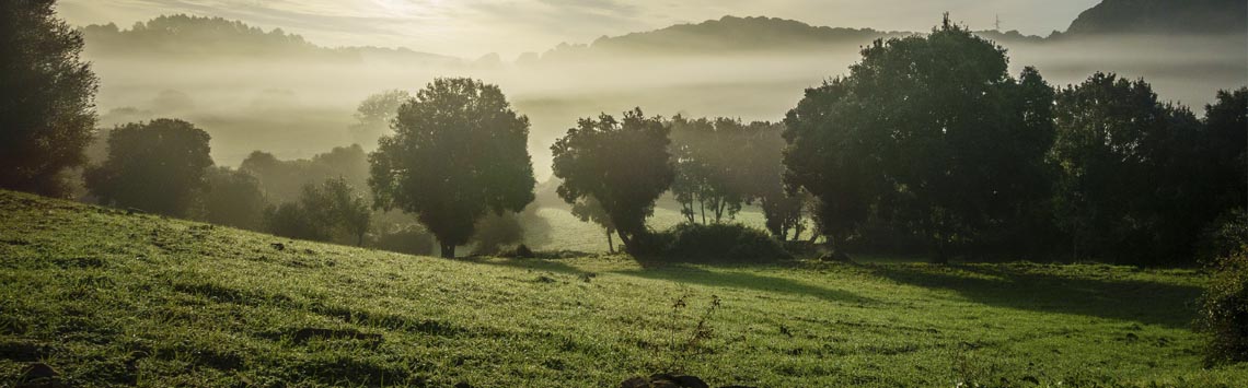 menorca_cami_de_cavalls_winter