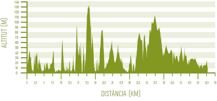 (MTB) Ses Salines de Fornells – Ciutadella