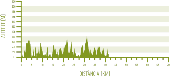 Maó – Ses Salines