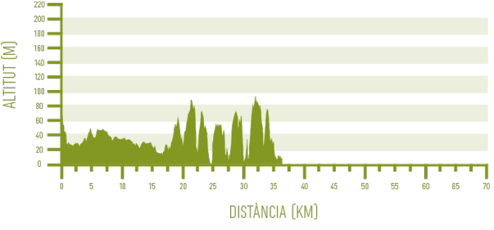 Ciutadella – Sant Tomàs