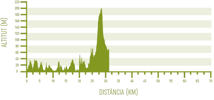 Arenal d’en Castell – Ferreries