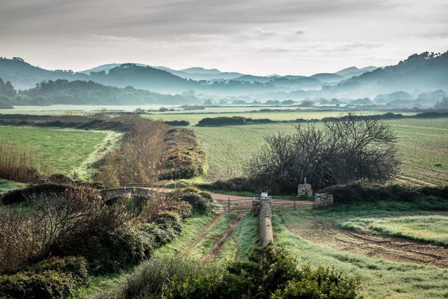 Paisatge rural de l'interior de Menorca.