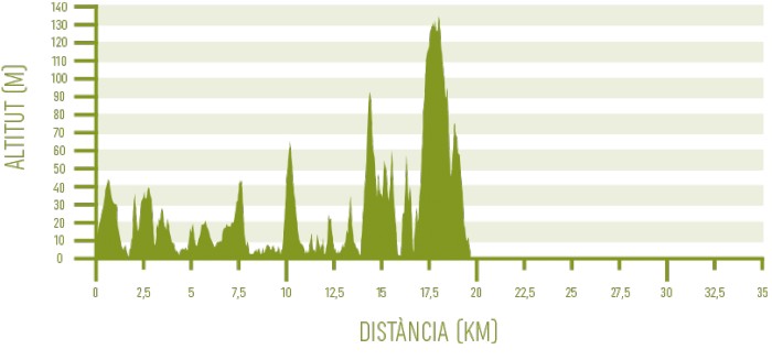 Altimetria de l’etapa 3 del programa Senderisme 10 etapes de Camí de Cavalls 360º (Ses Salines - Es Alocs).