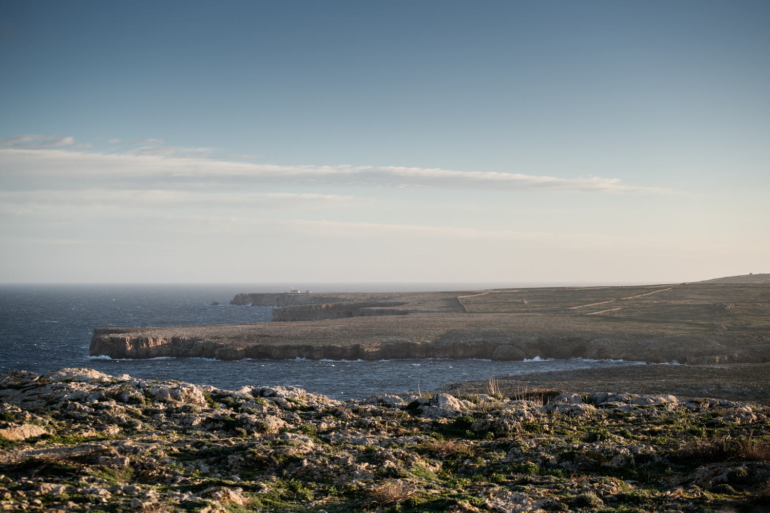 Vistes des del Morro de sa Falconera (Foto: Oriol Batista).