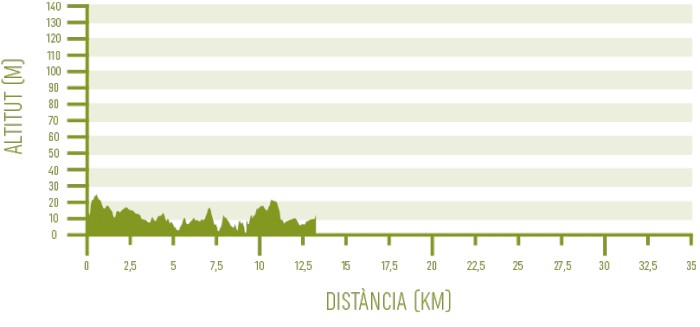 Altimetria de l’etapa 5 del programa Senderisme 10 etapes de Camí de Cavalls 360º (Cala Morell - Ciutadella).