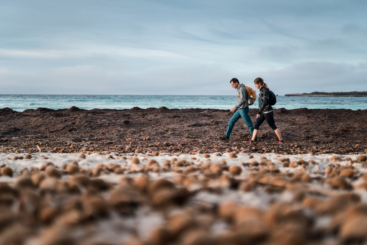 Senderisme en una platja amb posidònia (Foto: Jordi Saragossa).