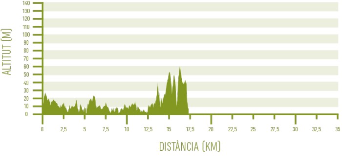 Altimetria de l’etapa 7 del programa Senderisme 10 etapes de Camí de Cavalls 360º (Cap d’Artutx - Cala Galdana).
