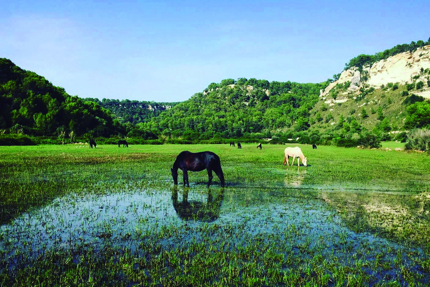 Barranc de Son Boter i Prat de Son Bou (Foto: Camí de Cavalls 360º).