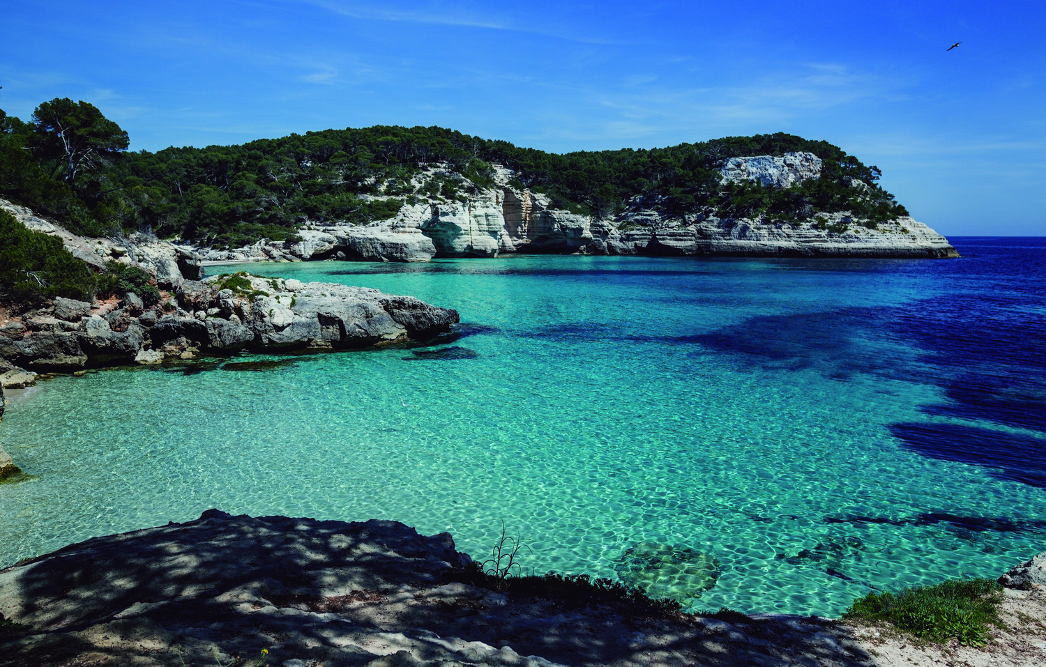 Cala Mitjaneta i Cala Mitjana (Foto: Jordi Saragossa).