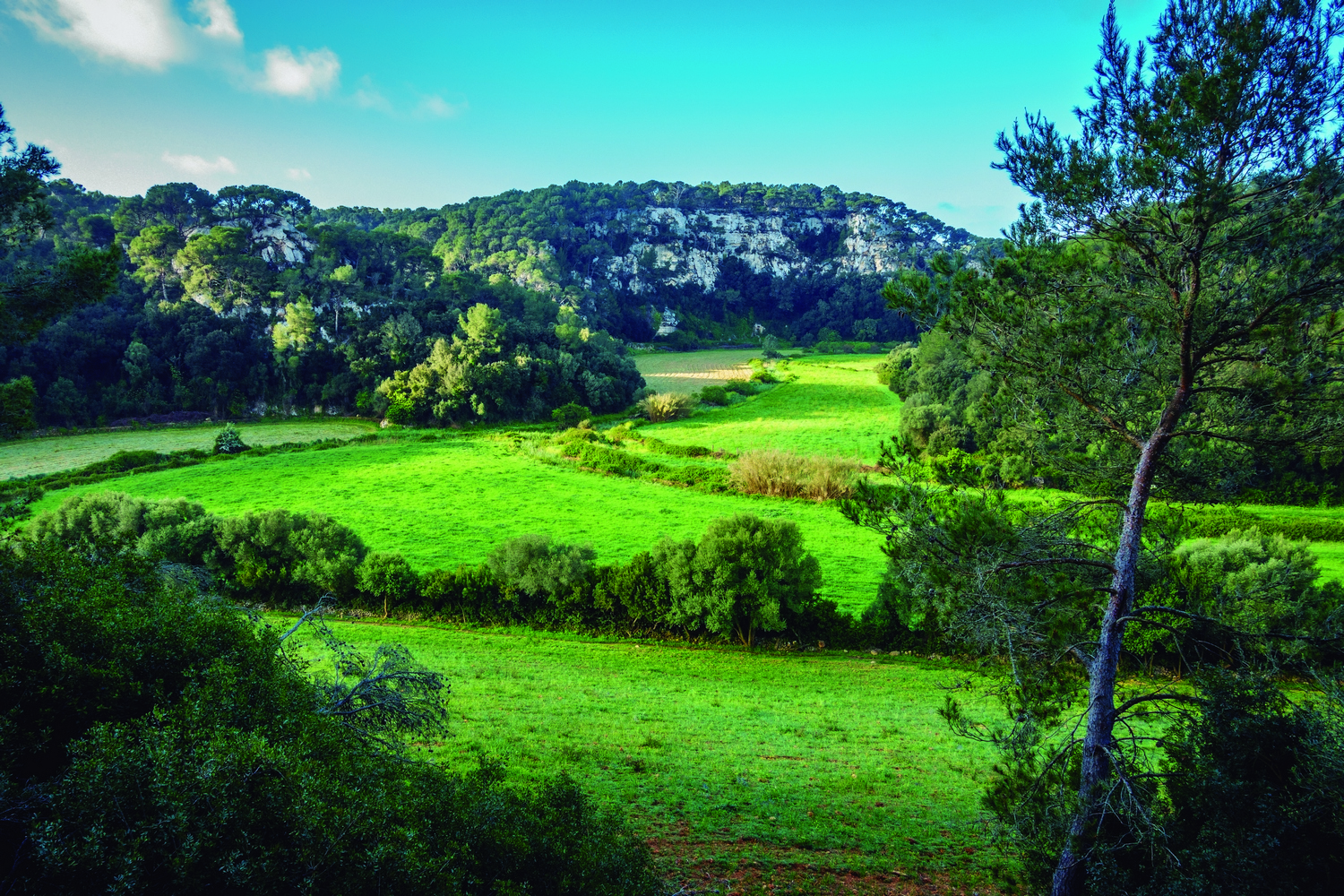 Barranc de Trebalúger (Foto: Camí de Cavalls 360º).