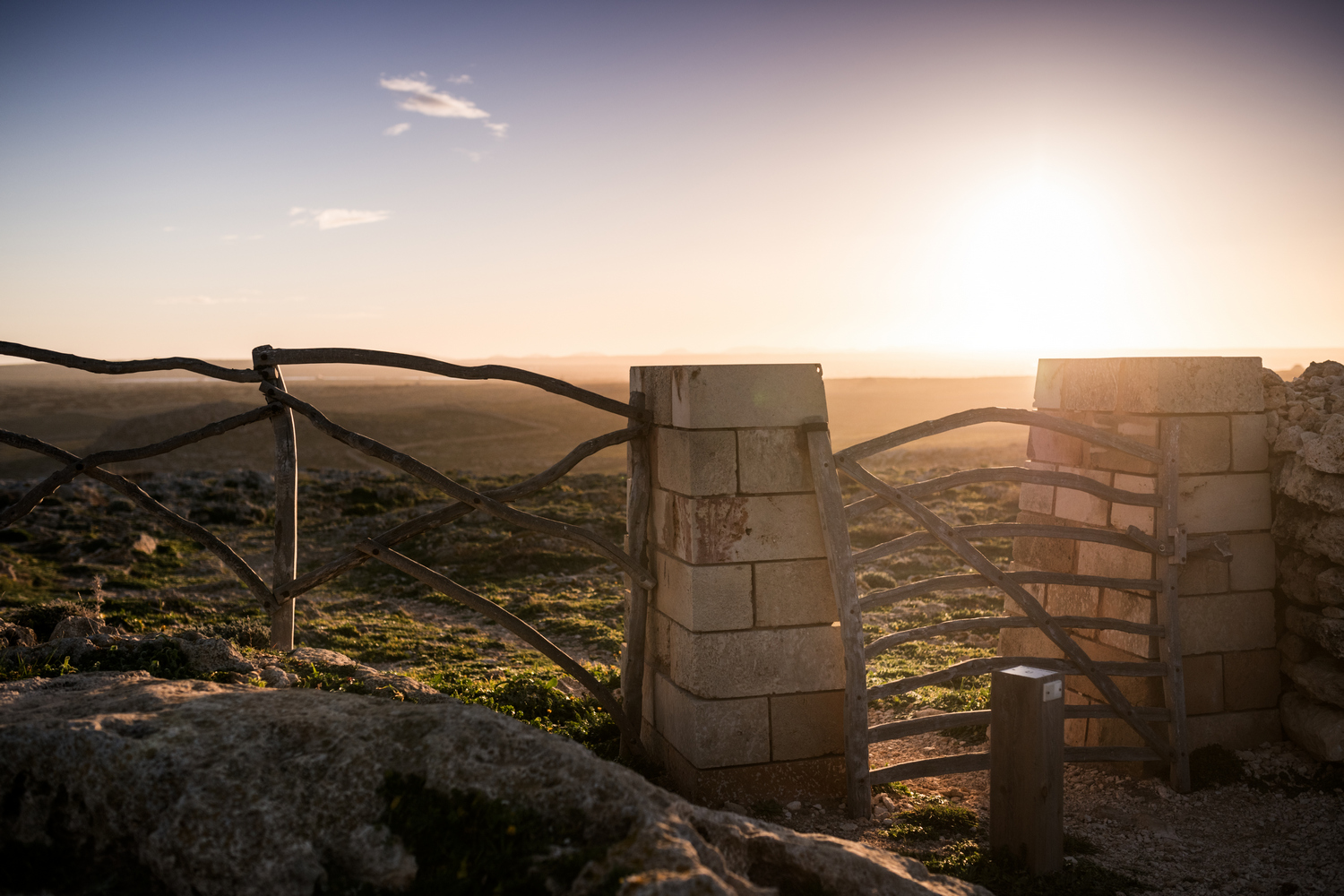 Barrera d'ullastre al Camí de Cavalls (Foto: Oriol Batista).