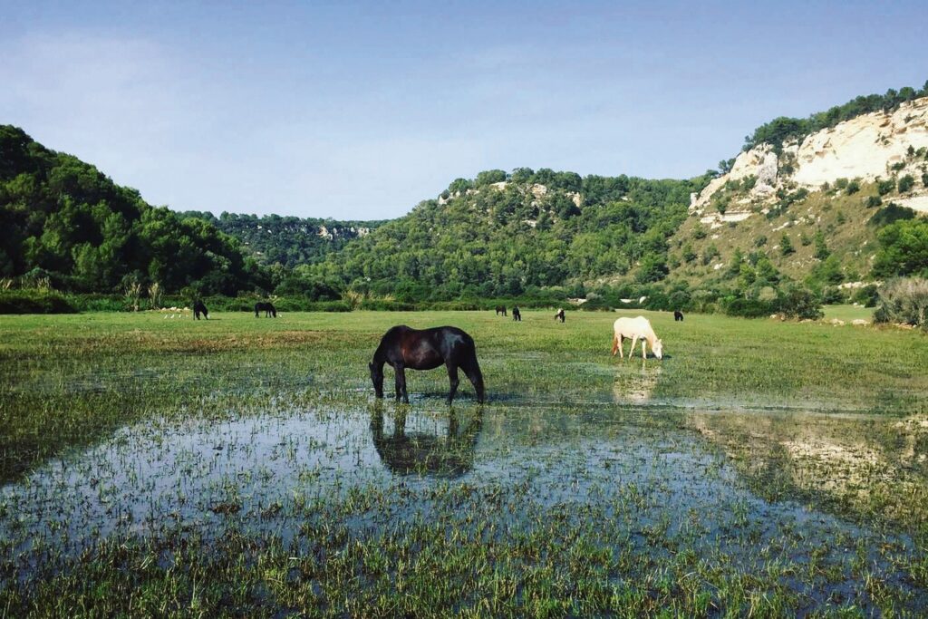 Barranc de Son Boter y Prat de Son Bou (Foto: Camí de Cavalls 360º).