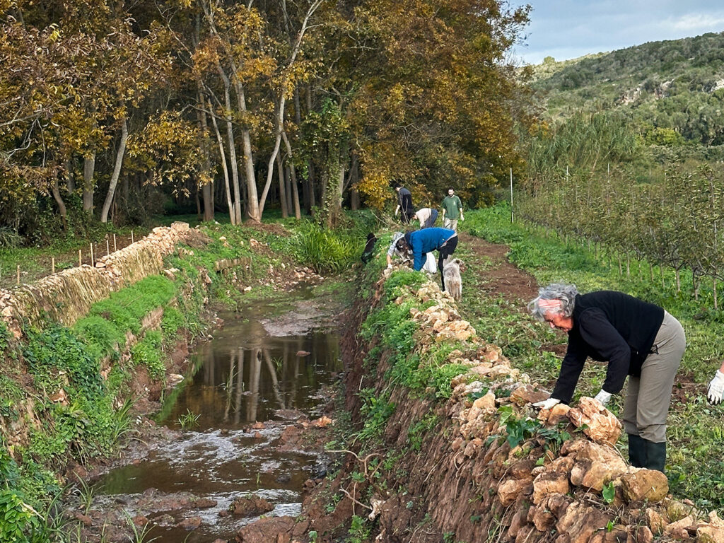 Feines de recuperació al Torrent de Cala en Porter (Foto: Camí de Cavalls 360º).