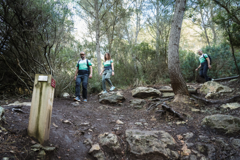 Tram irregular de bosc a Camí de Cavalls 360º (Foto: Camí de Cavalls 360º).